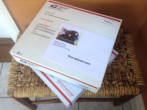 priority mail pet portraits