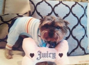 Chance for Paul Lafata